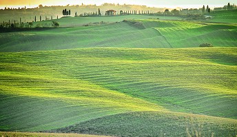 BAJO EL SOL DE LA TOSCANA: LUCCA, SIENA Y CORTONA